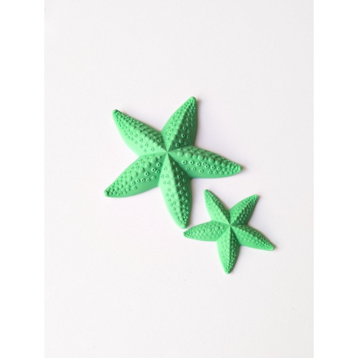 Estrela do Mar Pequena