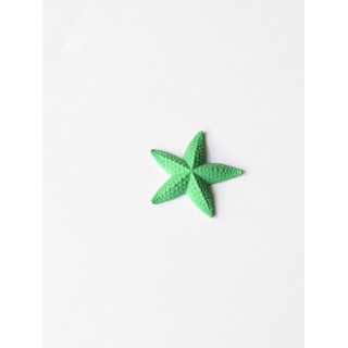Estrela do Mar Pequena