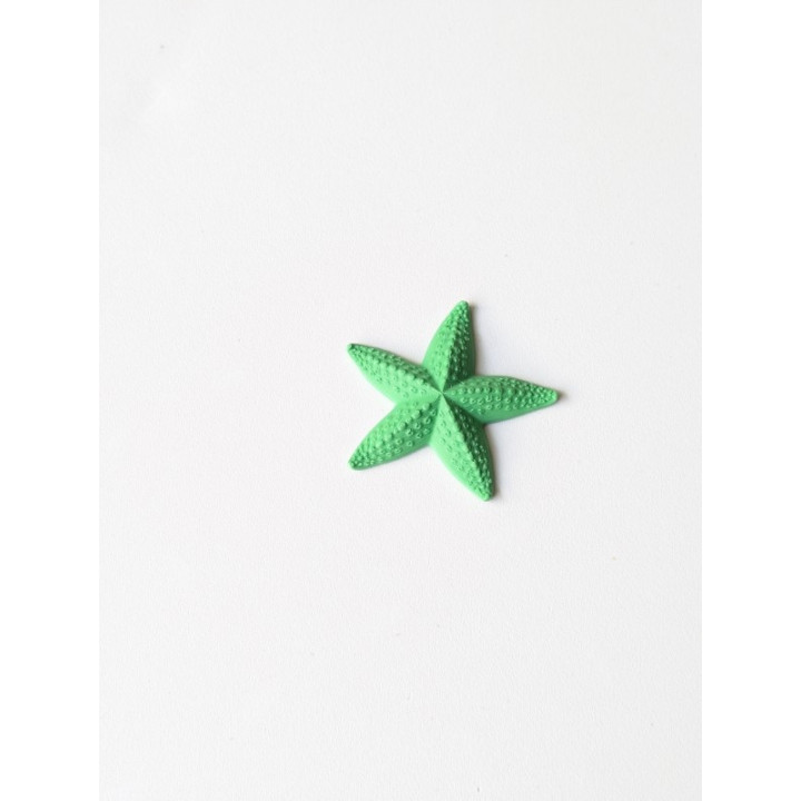 Estrela do Mar Pequena