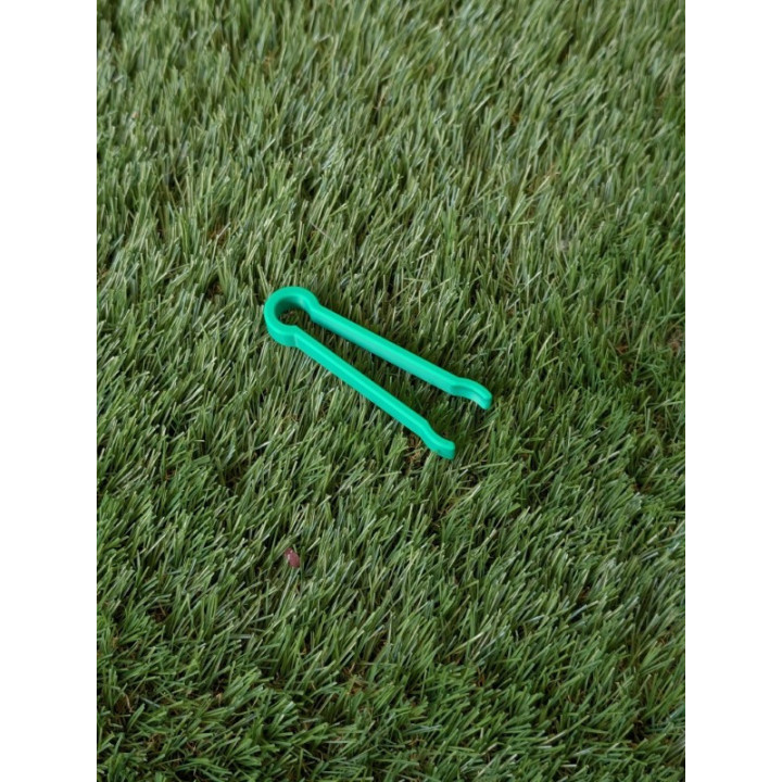 Pinça