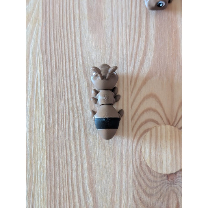 Formiga Articulada com Tronco