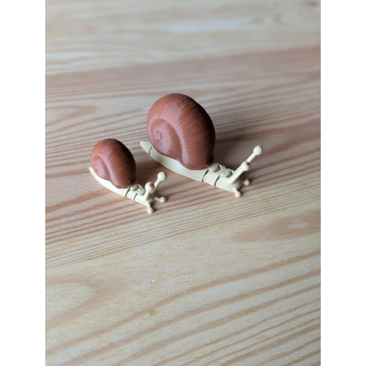 Caracol Articulado Grandes