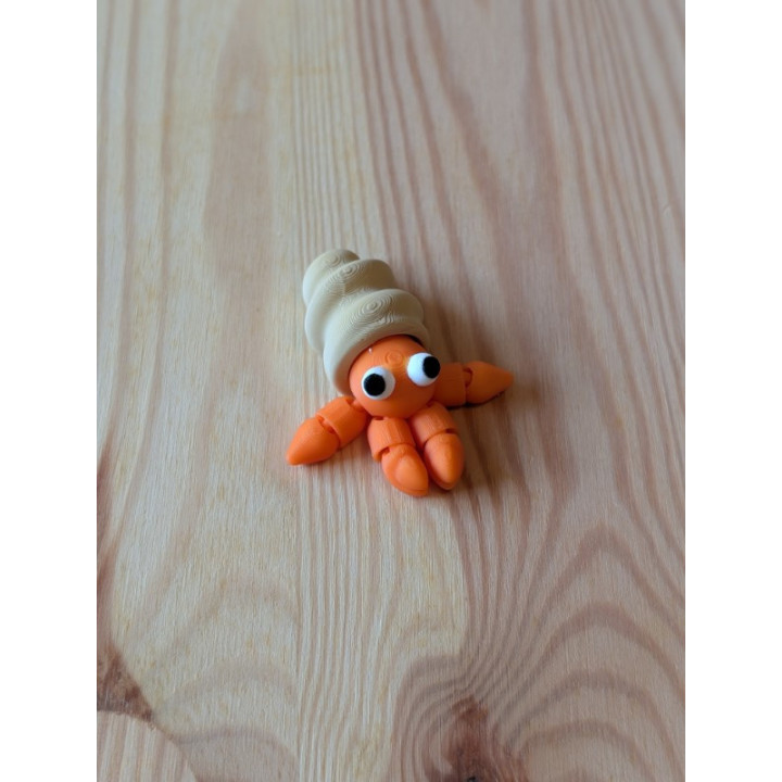 Caranguejo Eremita Articulado