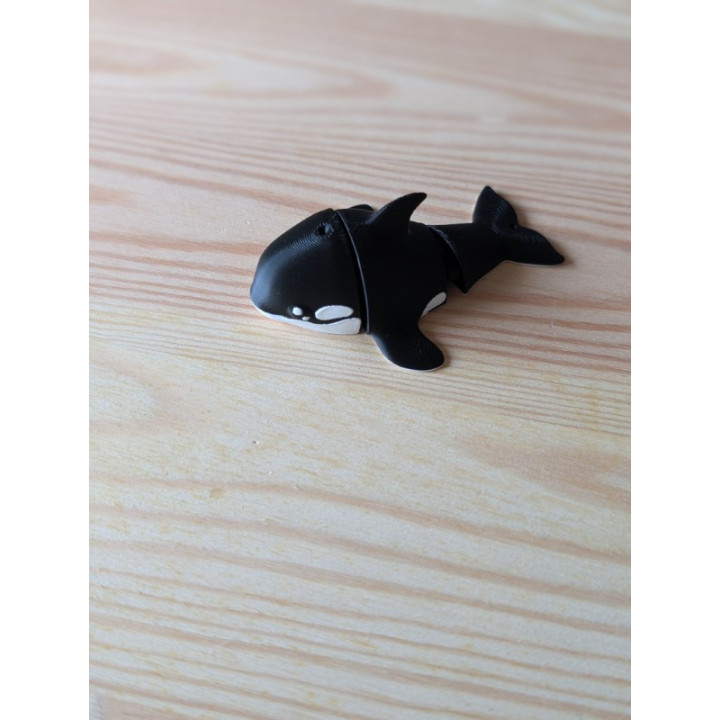 Orca Articulada