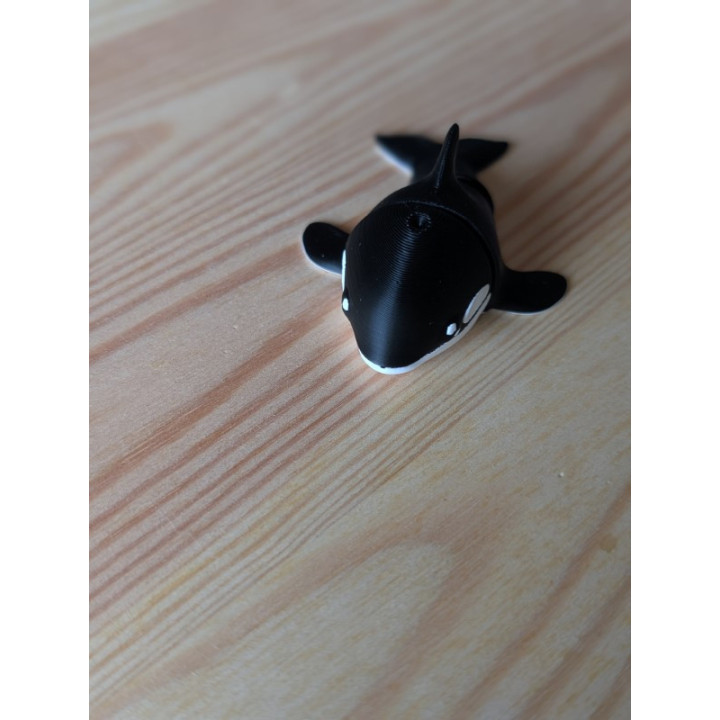 Orca Articulada