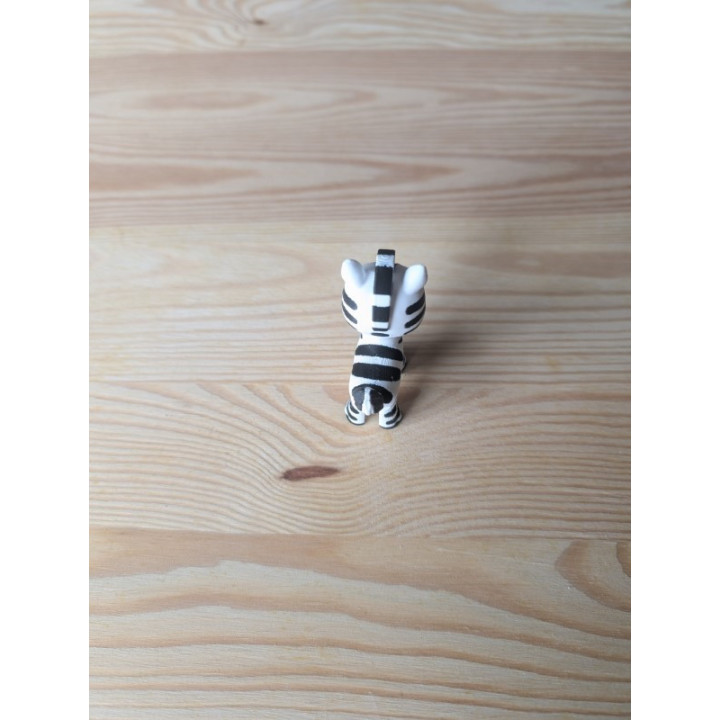 Zebra Articulada