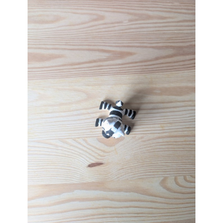 Zebra Articulada