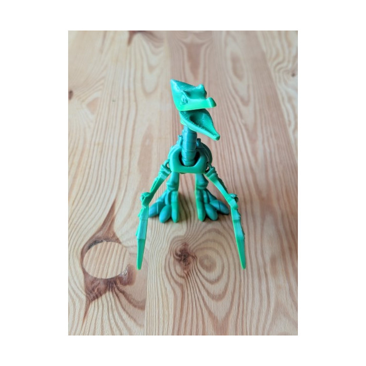 Pteranodonte Articulado