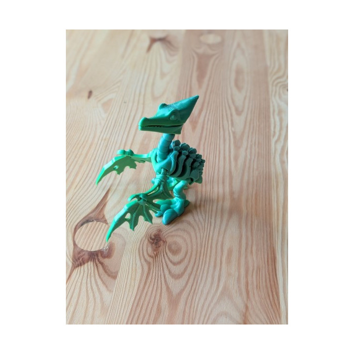 Pteranodonte Articulado